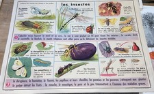 Carte Affiche Scolaire MDI 