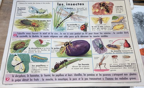 Carte affiche scolaire - scolaire, mdi