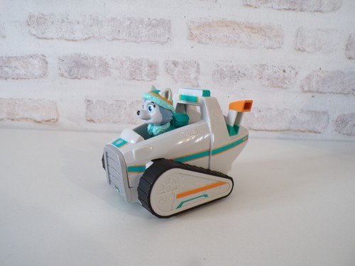 Moto neige everest paw - everest,
