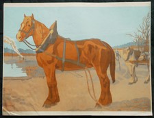 1910 affiche lithographiée - affiche,