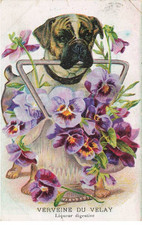 MIKIEP18-011- PUBLICITE VERVEINE DU VELAY CHIEN