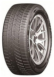 205 r16 87v fortune - 87v,