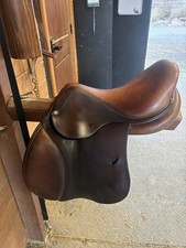 16.5 Antares Altaire Saddle