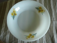 Plat creux,  Arcopal France 