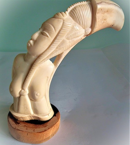 Dent phacochère sculpée - phacochère,