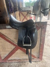 verhan odyssey dressage