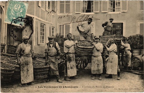Cpa vendange champagne - en,