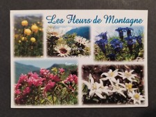 FLEURS DE MONTAGNE Trolle