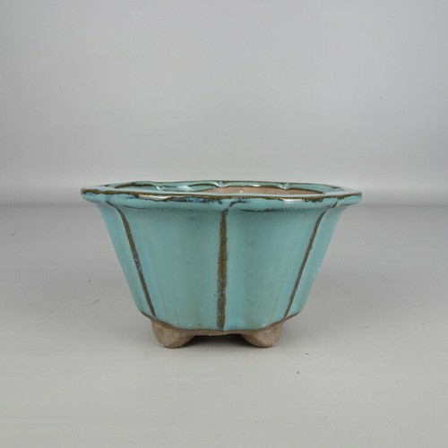 Pot bonsaï chinois - pot,