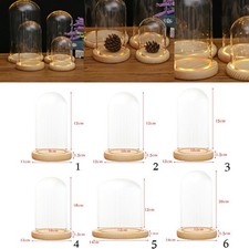 Cloche en verre, socle en