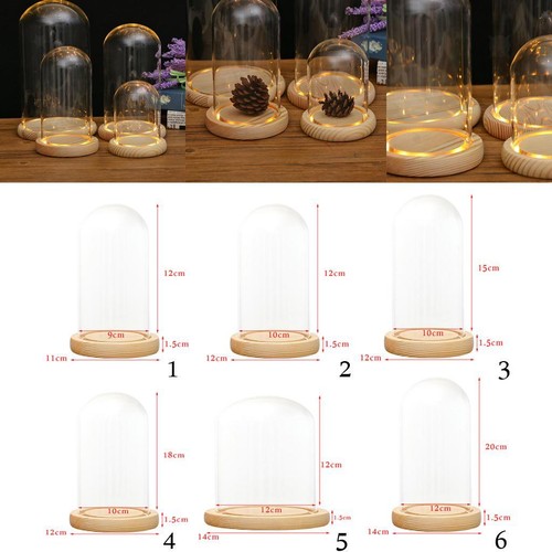 Cloche verre socle - socle, en