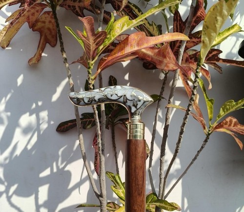 Canne marche bois style - canne,