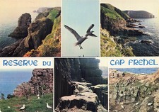 22 CAP FREHEL RESERVES D OISEAUX