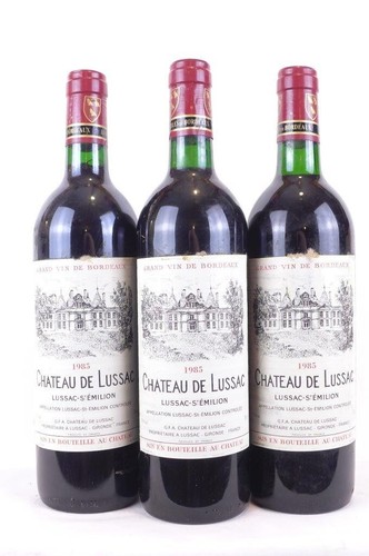 Lot bouteilles lussac - lot,