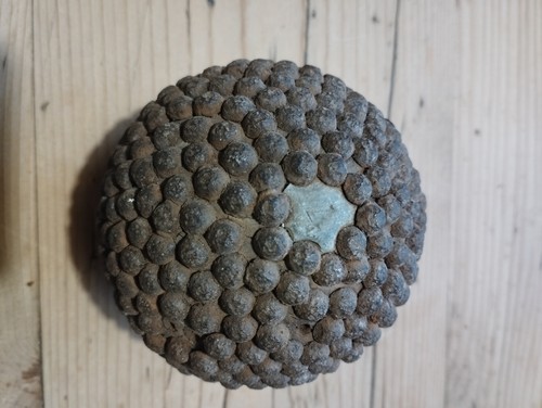 Boule lyonnaise ancienne bois