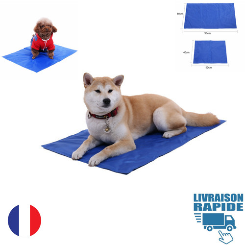 Tapis coussin rafraichissant - tapis,