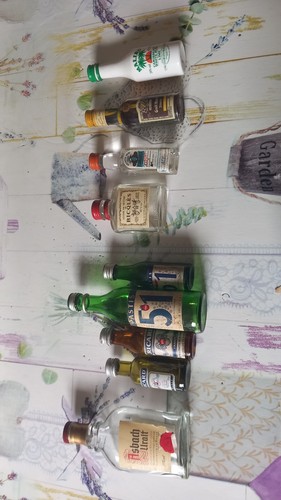 Lot mignonnettes vides - 1,