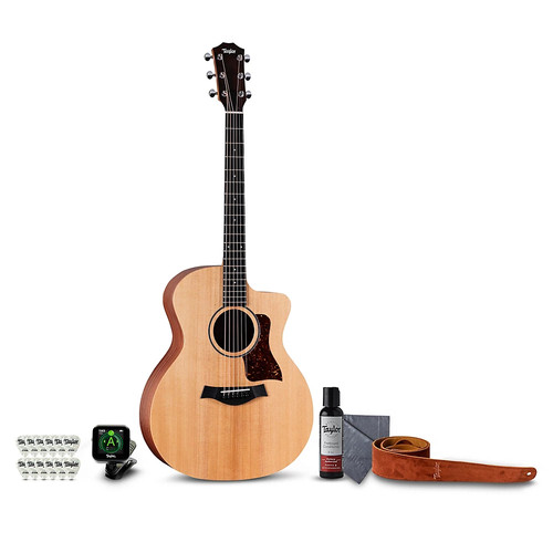 Taylor 14ce grand auditorium - taylor,