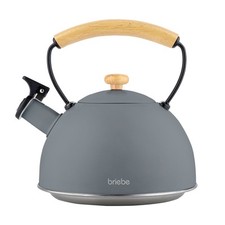 Bouilloire à Induction