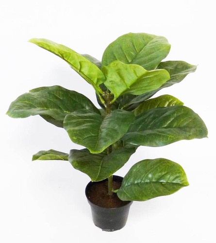 Ficus lyrata artificiel vert - ficus,
