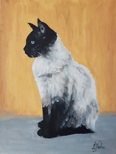 Chat siamois peinture - siamois,
