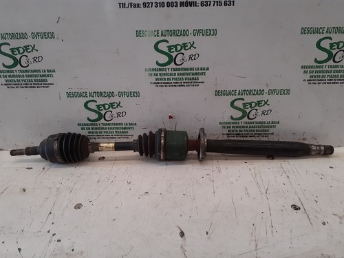 Sin ref transmission avant - sin,