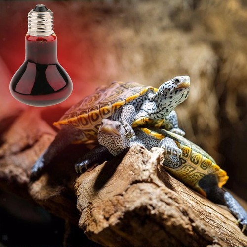 E27 lampe verre - lampe,