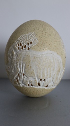 Ancien oeuf autruche 16cm - autruche,