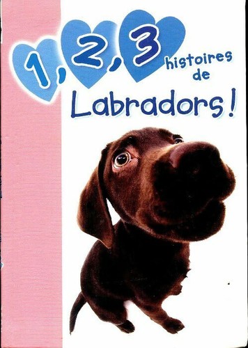 3 histoires de - 1,, labradors