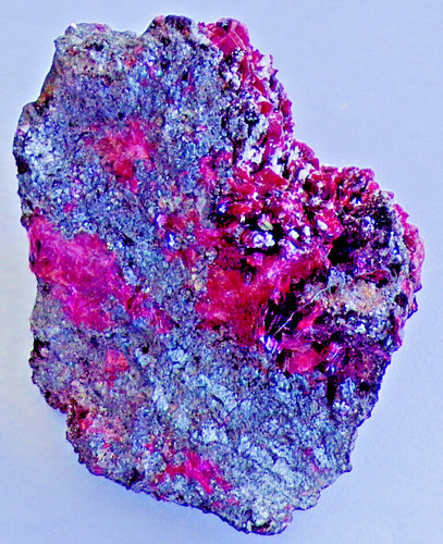 Ceeb3 135g erythrine - erythrine,, bou