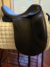 Cliff Barnsby N. Gage dressage