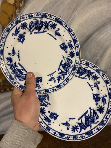 Paire assiette porcelaine - d,