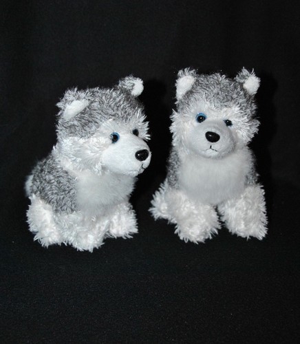 Lot peluche doudou chien - lot,