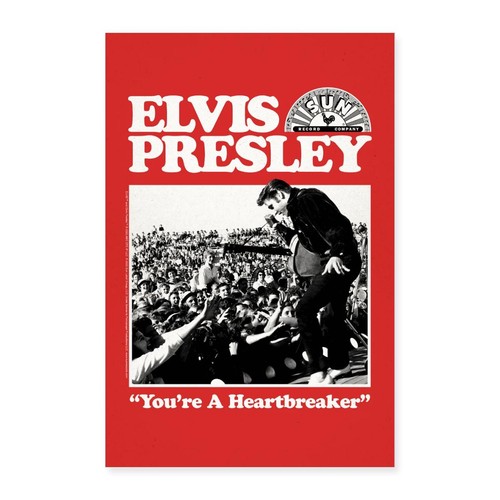 Elvis presley you - you're, a