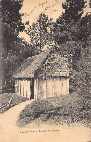 Madagascar cabane malgache - madagascar,