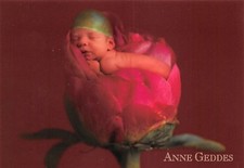 Carte Postale - Anne - GEDDES - Bébé dans bouton de fleur