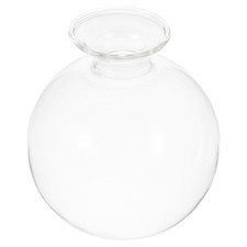 Pot Pour Avocatier Vase De