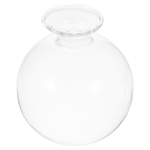 Pot pour avocatier vase - pour,