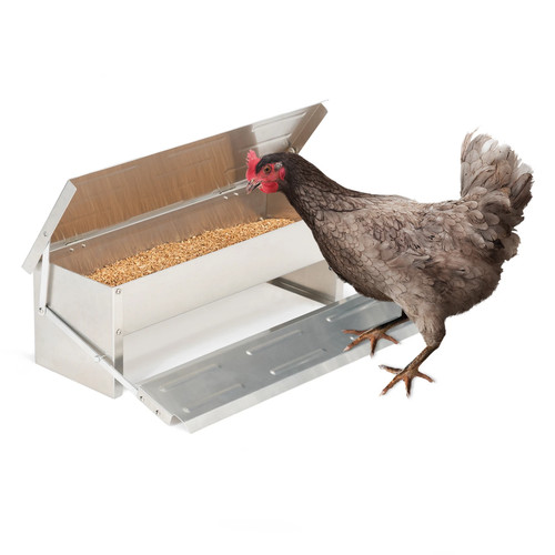Mangeoire pour poules - pour,