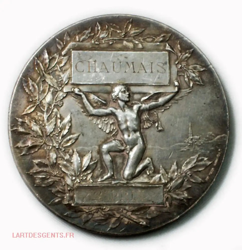 Médaille bronze - (fr1),