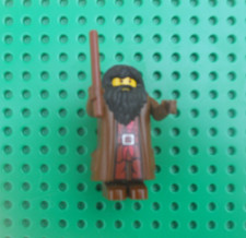LEGO HARRY POTTER 76420 FIGURINE HAGRID