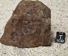Meteorite NWA 18128 Chondrite