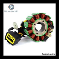 Stator Alternateur pour TM