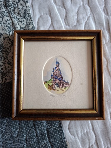 Rare petit cadre disneyland