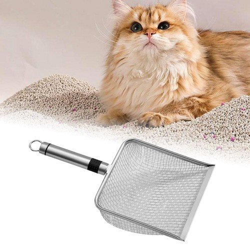 Chats litter scooper kitty - chats,