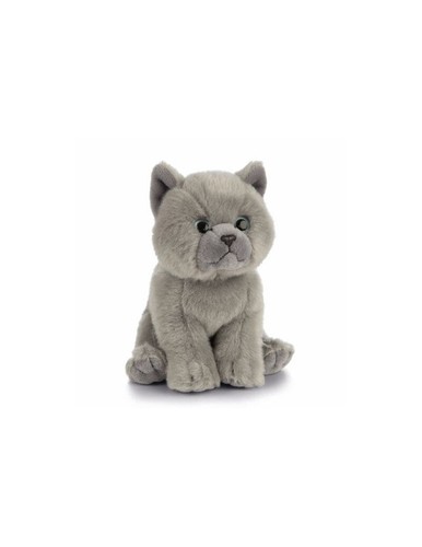 Peluche chaton gris british - gris,