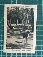 Vr254 chromo parc zoologique de Vincennes Zoo - N°55 Biche Cerf Sika Japon