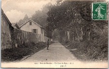 92 MEUDON - un coin du bois.