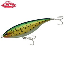 BERKLEY Heavy Casting Sinking