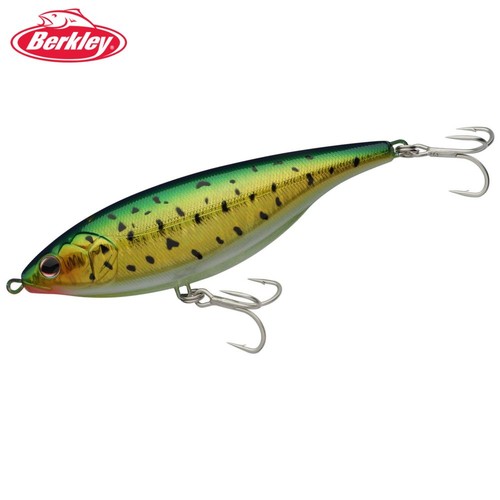 Berkley heavy casting - berkley,